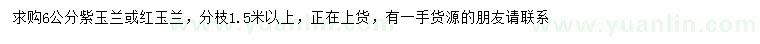 求購6公分紫玉蘭或紅玉蘭
