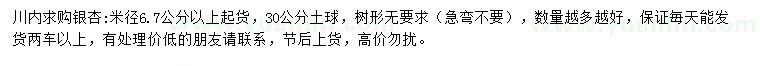 求購米徑6.7公分以上銀杏