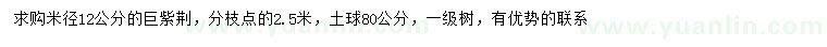 求購米徑12公分巨紫荊