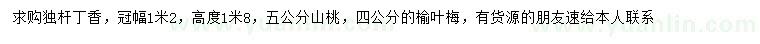 求購獨桿丁香、山桃、榆葉梅