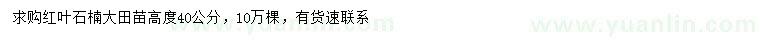 求購(gòu)高40公分紅葉石楠