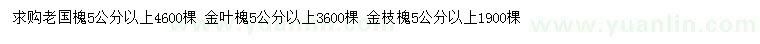 求購(gòu)老國(guó)槐、金葉槐、金枝槐