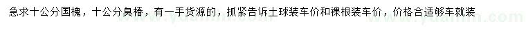 求購10公分國槐、臭椿