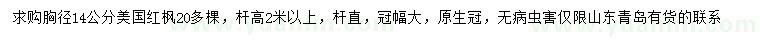 求購胸徑14公分美國紅楓