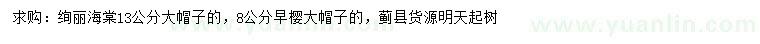 求購13公分絢麗海棠、8公分早櫻