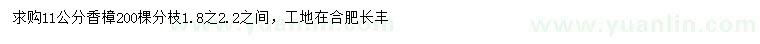 求購11公分香樟