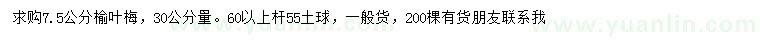 求購30公分量7.5公分榆葉梅