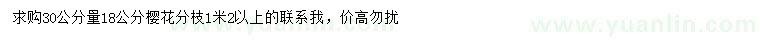 求購30公分量18公分櫻花
