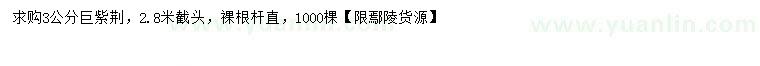 求購(gòu)3公分巨紫荊