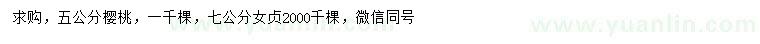求購5公分櫻桃、7公分女貞