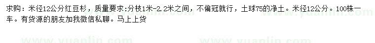求購米徑12公分紅豆杉