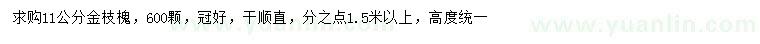 求購(gòu)11公分金枝槐