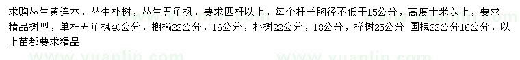 求購(gòu)叢生黃連木、叢生樸樹(shù)、叢生五角楓等