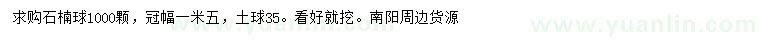 求購冠幅1.5米石楠球