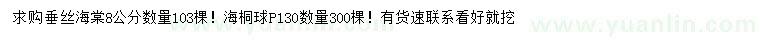 求購8公分垂絲海棠