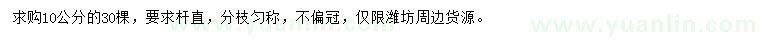 求購(gòu)米徑10公分銀杏