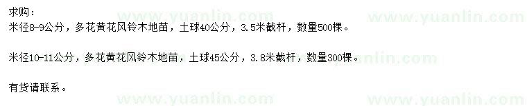 求購(gòu)米徑8-11公分多花黃花風(fēng)鈴木