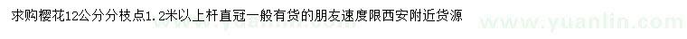 求購12公分櫻花