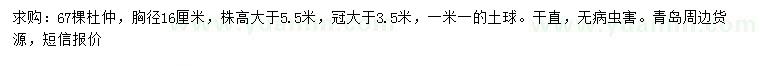 求購胸徑16公分杜仲