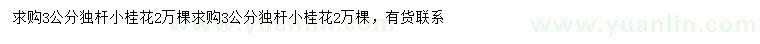 求購3公分獨桿小桂花