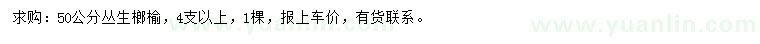 求購50公分叢生榔榆