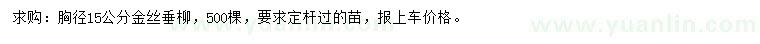 求購胸徑15公分金絲垂柳