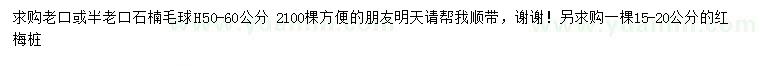 求購(gòu)高50-60公分石楠毛球、15-20公分紅梅樁