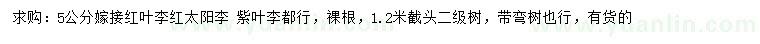 求購5公分嫁接紅葉李、紅太陽李、紫葉李