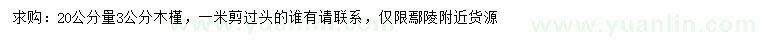 求購20公分量3公分木槿