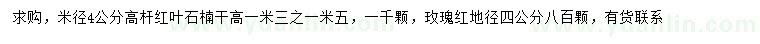 求購米徑4公分高桿紅葉石楠、地徑4公分玫瑰紅