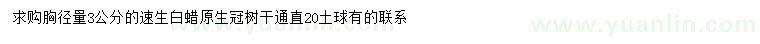 求購(gòu)胸徑量3公分速生白蠟