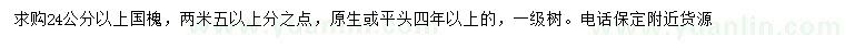 求購24公分以上國槐