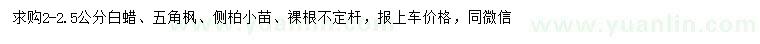 求購白蠟、五角楓、側(cè)柏小苗