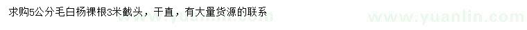 求購5公分毛白楊