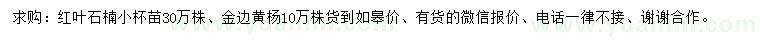 求購(gòu)紅葉石楠、金邊黃楊