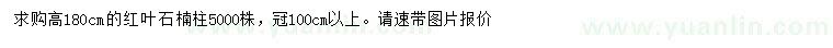 求購高180公分紅葉石楠柱