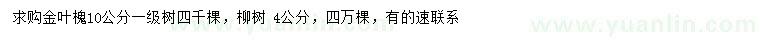 求購10公分金葉槐、4公分柳樹