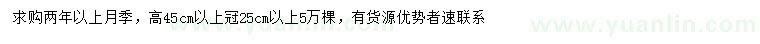 求購(gòu)高45公分以上月季