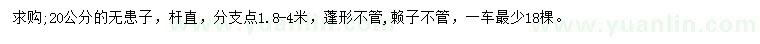 求購(gòu)20公分無患子