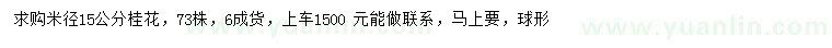求購米徑15公分桂花
