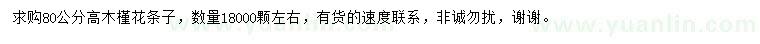 求購高80公分木槿