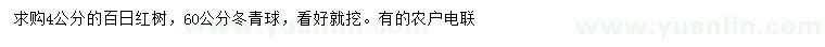 求購4公分百日紅、60公分冬青球
