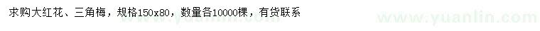 求購(gòu)150*80公分大紅花、三角梅