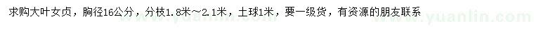 求購胸徑16公分大葉女貞