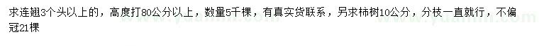 求購(gòu)高80公分以上連翹、10公分柿樹(shù)