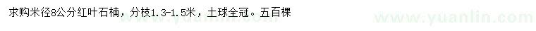 求購米徑8公分紅葉石楠