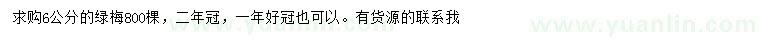 求購6公分綠梅