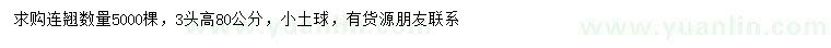 求購(gòu)高80公分連翹