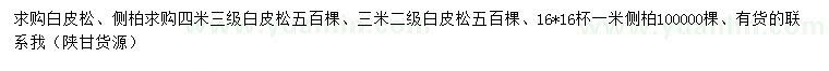 求購1、3、4公分白皮松、側(cè)柏