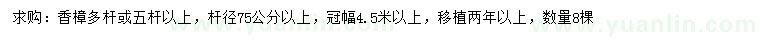 求購冠幅4.5米以上香樟
